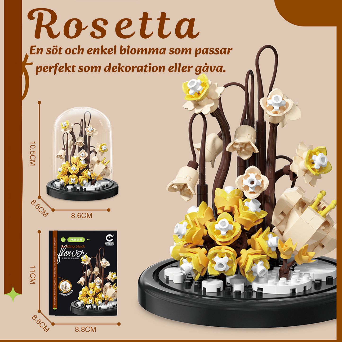 Evighetsblomman – En blomma som aldrig vissnar