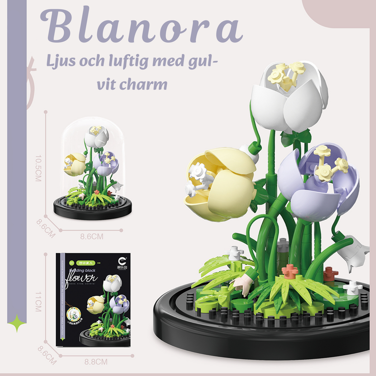 Evighetsblomman – En blomma som aldrig vissnar