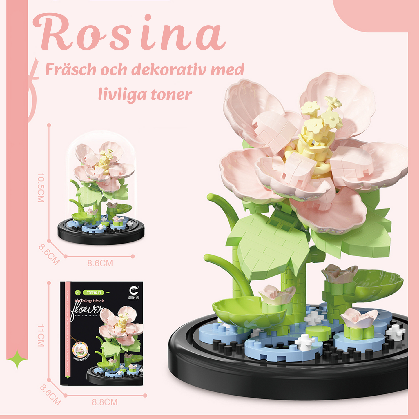 Evighetsblomman – En blomma som aldrig vissnar