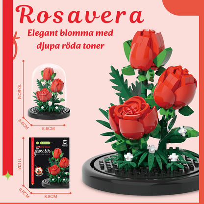 Evighetsblomman – En blomma som aldrig vissnar