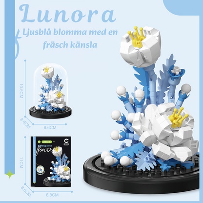 Evighetsblomman – En blomma som aldrig vissnar